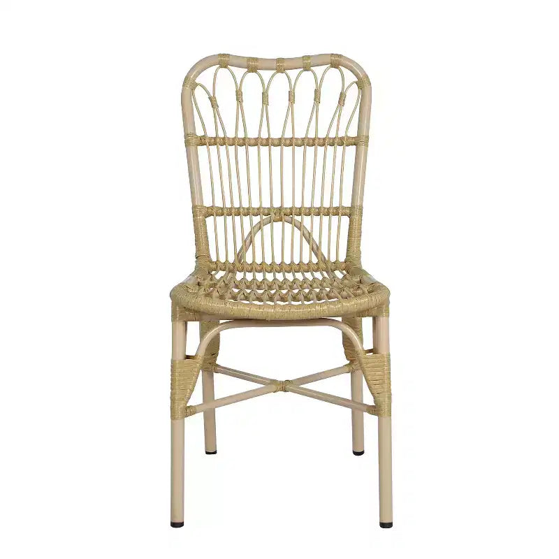 Christopher Knight Home Gail Sedie da pranzo moderne da esterno in rattan e metallo (set da 2)