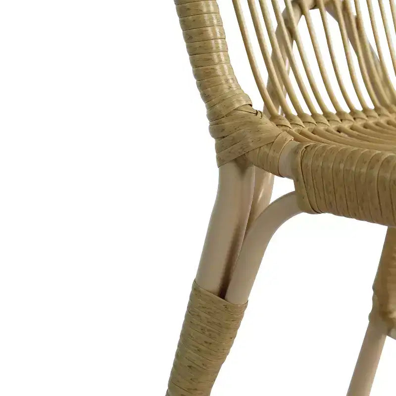Christopher Knight Home Gail Sedie da pranzo moderne da esterno in rattan e metallo (set da 2)