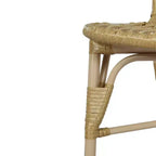 Christopher Knight Home Gail Sedie da pranzo moderne da esterno in rattan e metallo (set da 2)