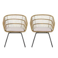 Christopher Knight Home Lemere Outdoor Wicker and Metal Upholstered Dining Chairs (Set of 2)