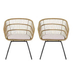 Christopher Knight Home Lemere Outdoor Wicker and Metal Upholstered Dining Chairs (Set of 2)