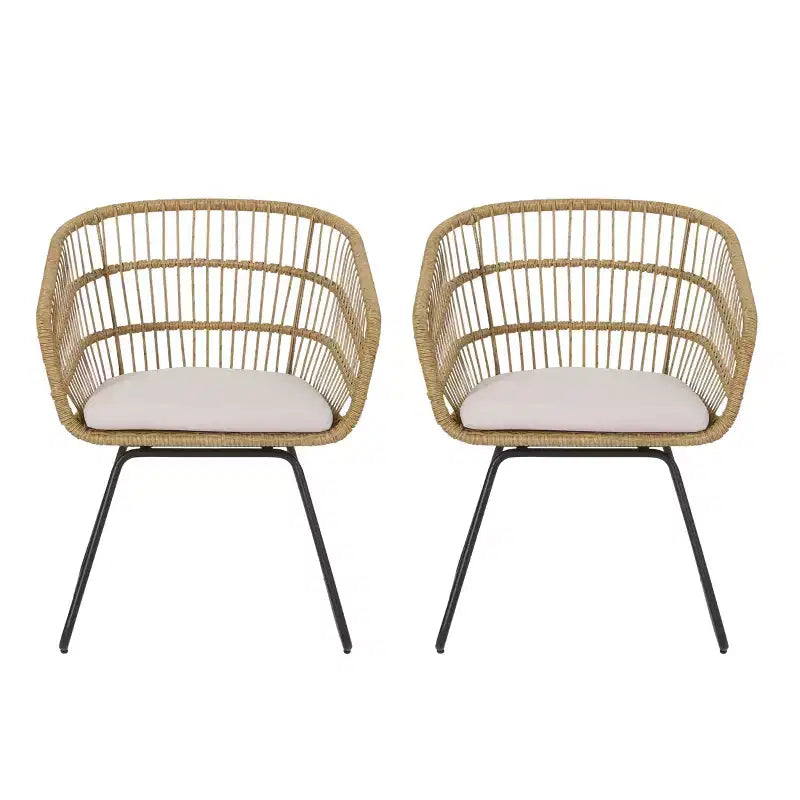 Christopher Knight Home Lemere Outdoor Wicker and Metal Upholstered Dining Chairs (Set of 2)