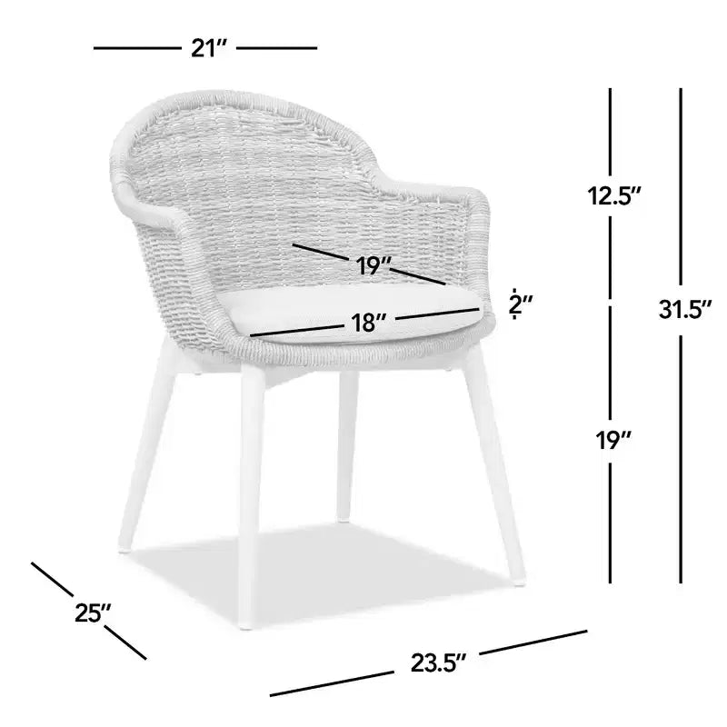 Jennifer Taylor Home Santorini 19 Sedia da pranzo da esterno con schienale in vimini, set da 2, Axroma Olefin beige grano