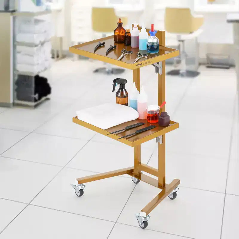 Carrello da laboratorio a 2 ripiani in acciaio inox, carrello di servizio da laboratorio con 2 vassoi, carrello medico mobile con 4 ruote silenziose, carrello da laboratorio su ruote
