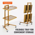 Carrello da laboratorio a 2 ripiani in acciaio inox, carrello di servizio da laboratorio con 2 vassoi, carrello medico mobile con 4 ruote silenziose, carrello da laboratorio su ruote
