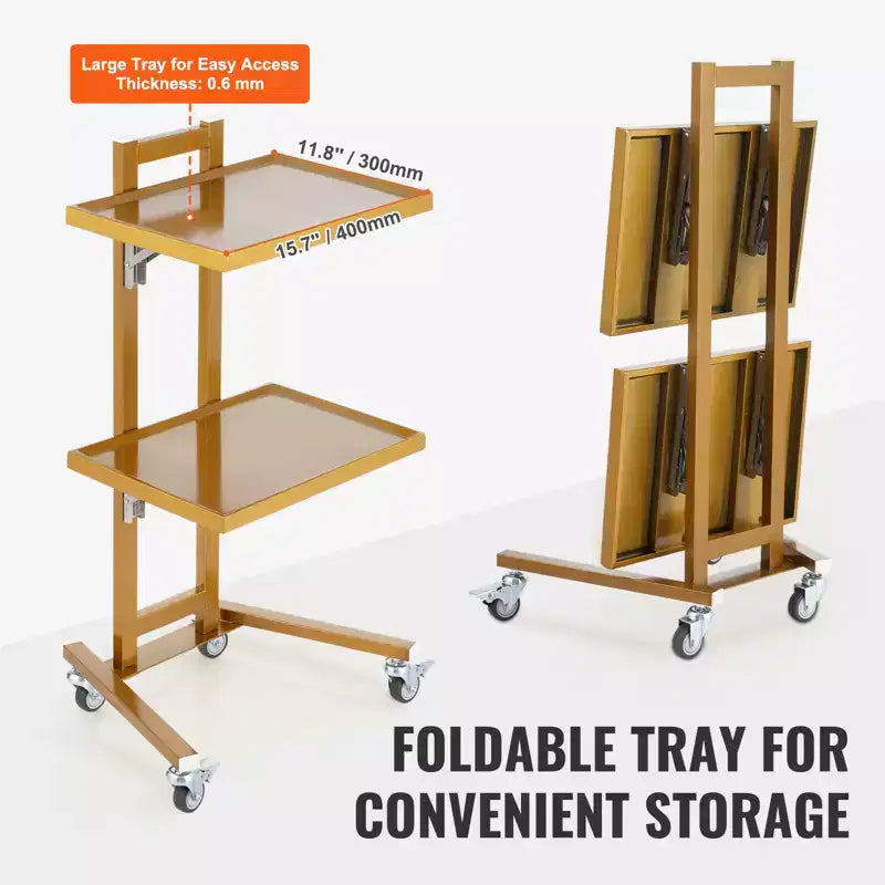 Carrello da laboratorio a 2 ripiani in acciaio inox, carrello di servizio da laboratorio con 2 vassoi, carrello medico mobile con 4 ruote silenziose, carrello da laboratorio su ruote