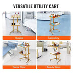 Carrello da laboratorio a 2 ripiani in acciaio inox, carrello di servizio da laboratorio con 2 vassoi, carrello medico mobile con 4 ruote silenziose, carrello da laboratorio su ruote
