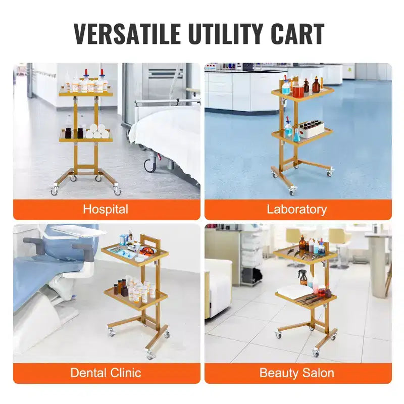 Carrello da laboratorio a 2 ripiani in acciaio inox, carrello di servizio da laboratorio con 2 vassoi, carrello medico mobile con 4 ruote silenziose, carrello da laboratorio su ruote