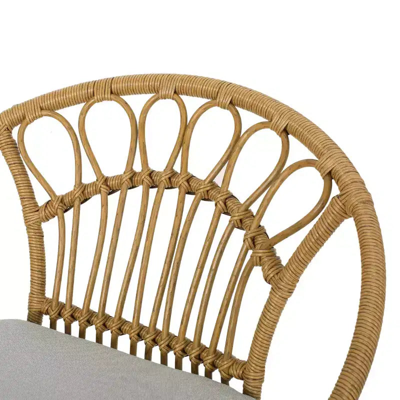 Sedie da pranzo GDFStudio Beulah in vimini e ferro da esterno con cuscino (set di 2), marrone chiaro/beige
