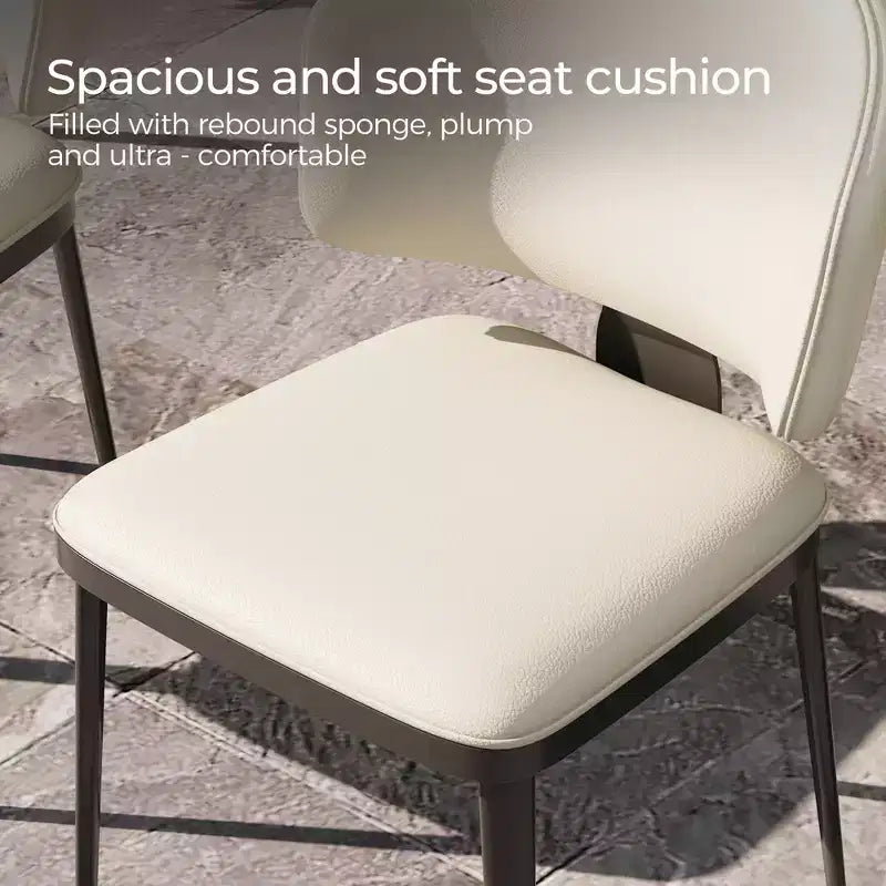 Lot de 2 chaises de salle à manger modernes Luck Live pour terrasse, chaises de salle à manger d'extérieur sans accoudoirs, blanc cassé/métal, adaptées à de multiples scénarios.