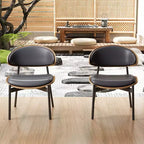 Luck Live Chaises de salle à manger modernes pour patio, lot de 2 chaises de salle à manger sans accoudoirs d'extérieur/cadre noir et métal,