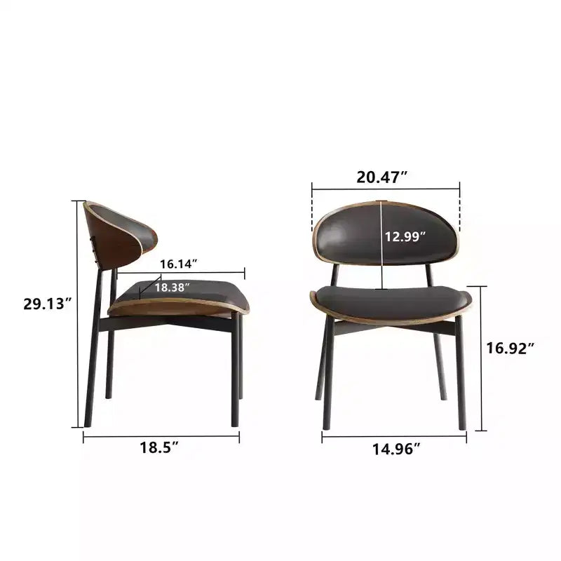 Luck Live Chaises de salle à manger modernes pour patio, lot de 2 chaises de salle à manger sans accoudoirs d'extérieur/cadre noir et métal,