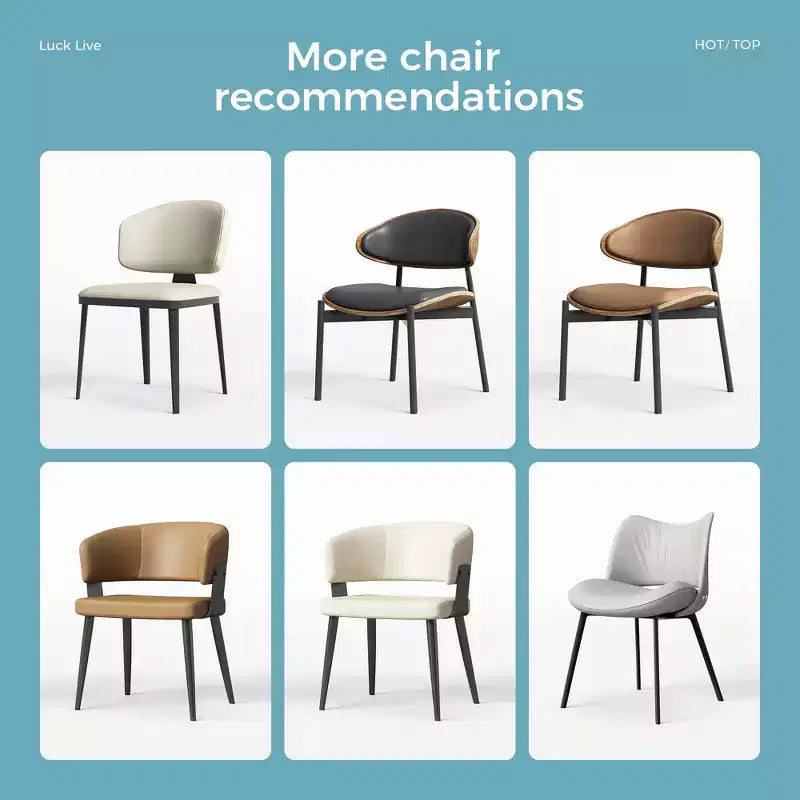 Luck Live Chaises de salle à manger modernes pour patio, lot de 2 chaises de salle à manger sans accoudoirs d'extérieur/cadre noir et métal,