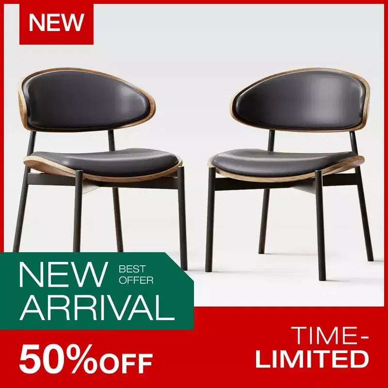 Luck Live Chaises de salle à manger modernes pour patio, lot de 2 chaises de salle à manger sans accoudoirs d'extérieur/cadre noir et métal,