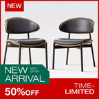 Luck Live Chaises de salle à manger modernes pour patio, lot de 2 chaises de salle à manger sans accoudoirs d'extérieur/cadre noir et métal,