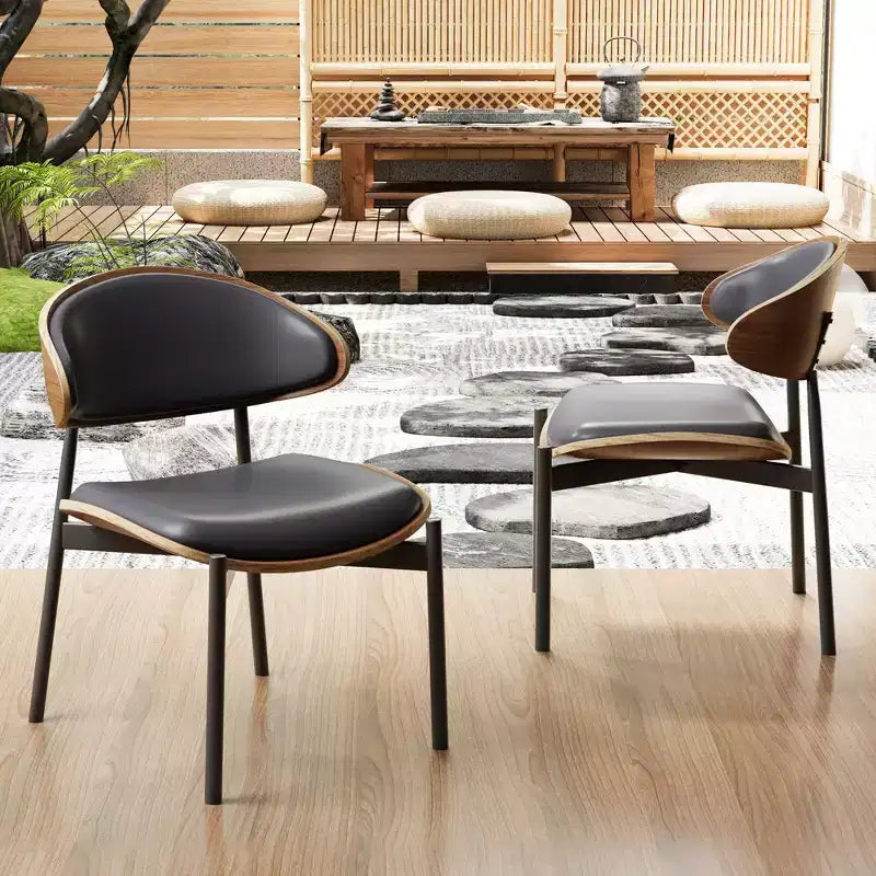Luck Live Chaises de salle à manger modernes pour patio, lot de 2 chaises de salle à manger sans accoudoirs d'extérieur/cadre noir et métal,