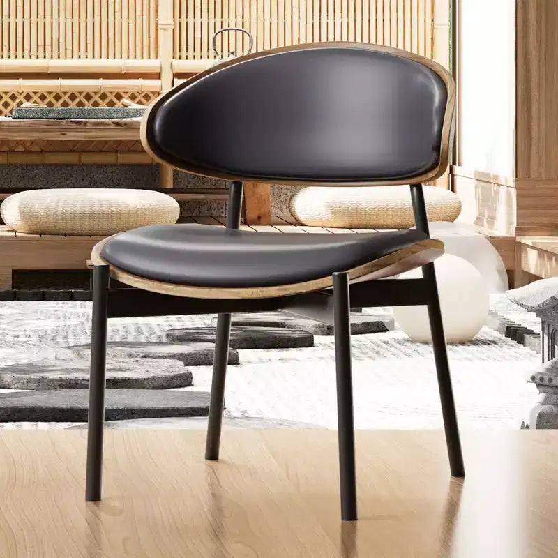 Luck Live Chaises de salle à manger modernes pour patio, lot de 2 chaises de salle à manger sans accoudoirs d'extérieur/cadre noir et métal,