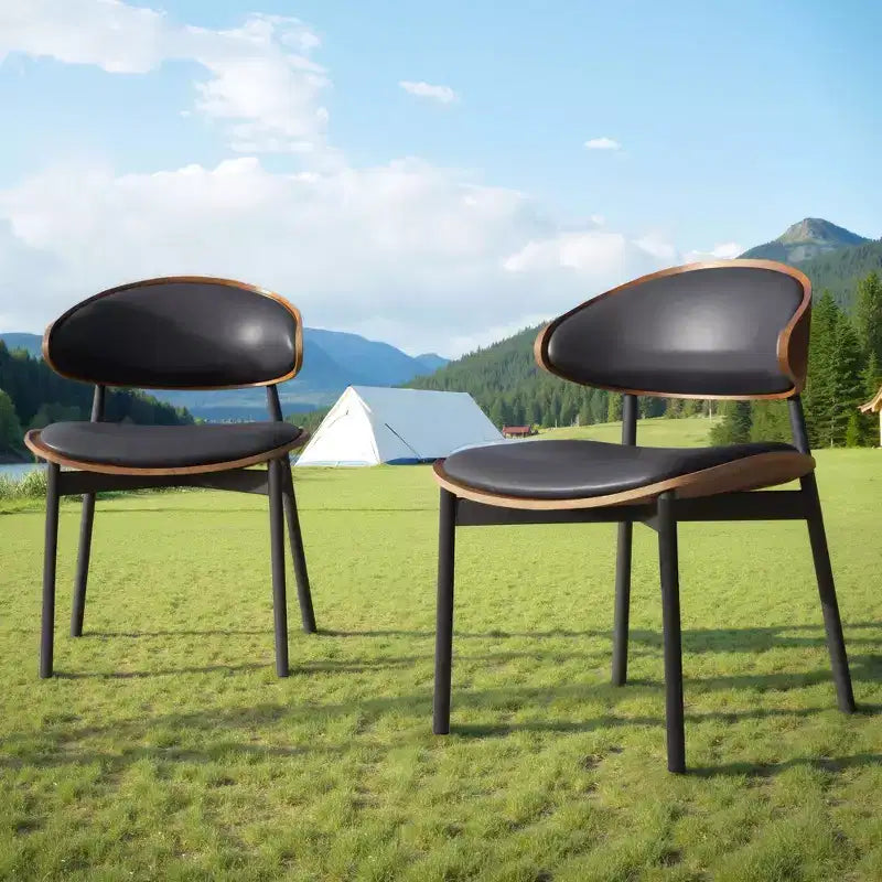 Luck Live Modern Patio Dining Chairs 2-Piece Outdoor Armless Dining Chair Set/Black&Metal Frame,