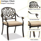 VINGLI Chaises de salle à manger d'extérieur (lot de 2) avec coussin Chaises de patio en aluminium, Meubles de patio en aluminium moulé Chaises d'extérieur en aluminium pour jardin, bord de piscine
