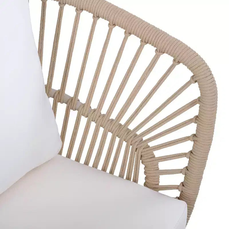 Christopher Knight Home Dalton Chaise de salle à manger moderne en osier tressé avec structure en acier et coussins