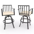 ALAULM 2PCS Barstools, High Bar Chair, Indoor/Outdoor Use