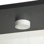 Vetrina in Vetro a Due Ante Illuminata con 4 Ripiani, Nero