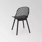 Sedia da pranzo moderna Lily (confezione da 2) in resina - Christopher Knight Home