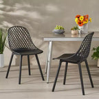 Sedia da pranzo moderna Lily (confezione da 2) in resina - Christopher Knight Home
