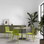 WRGHOME Ravenna Sedie da Pranzo Impilabili da Esterno/Interno in Resina Plastica (Set da 2)