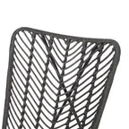 Galtin Sedie accentate da esterni in vimini e ferro (set da 2) di Christopher Knight Home