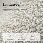 Poltrona Sheila Modern 30 W Boucle con gambe in legno massello, set da 2 di HULALA HOME